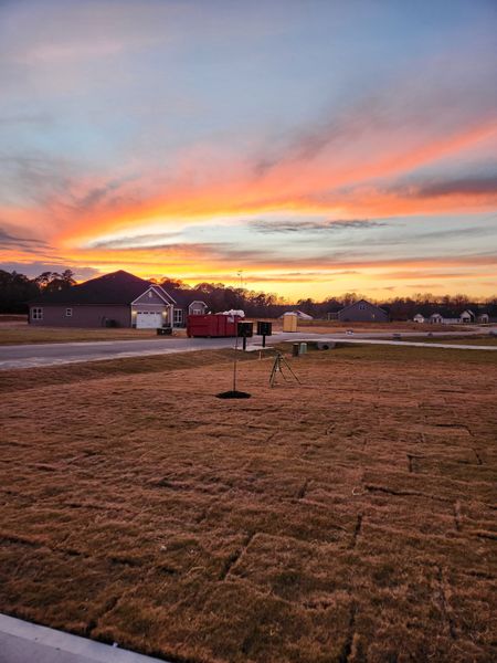 Charming homes under a stunning sunset in Cool Water by Adams Homes, Bailey, NC.