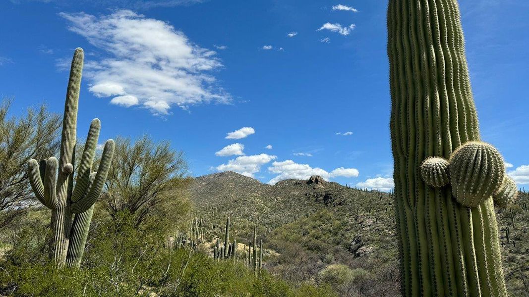 Image 100 of the The Oasis at Rocking K community in Vail, AZ.