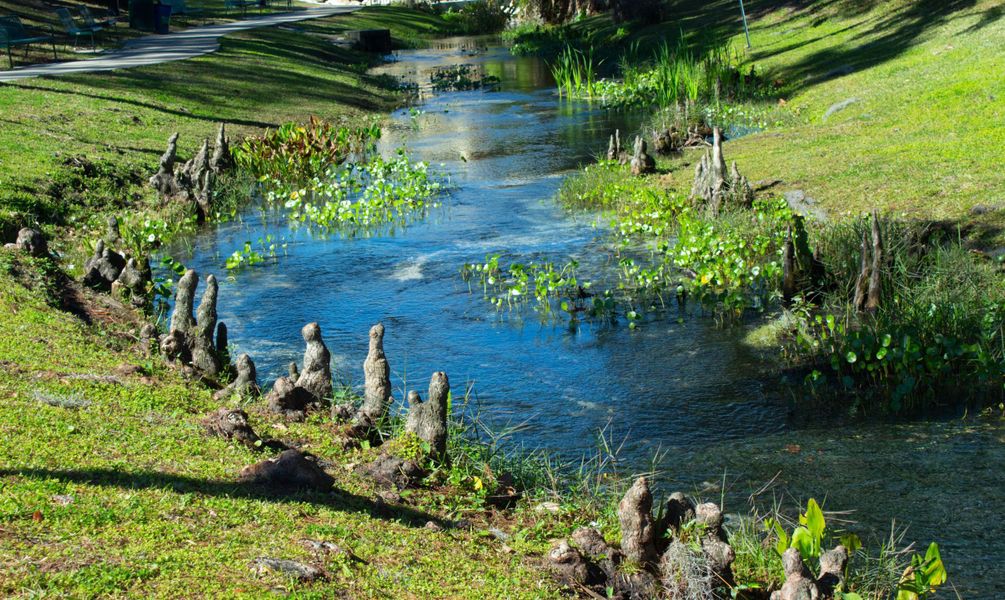 Image 30 of the Fleming Estates community in Fleming Island, FL.
