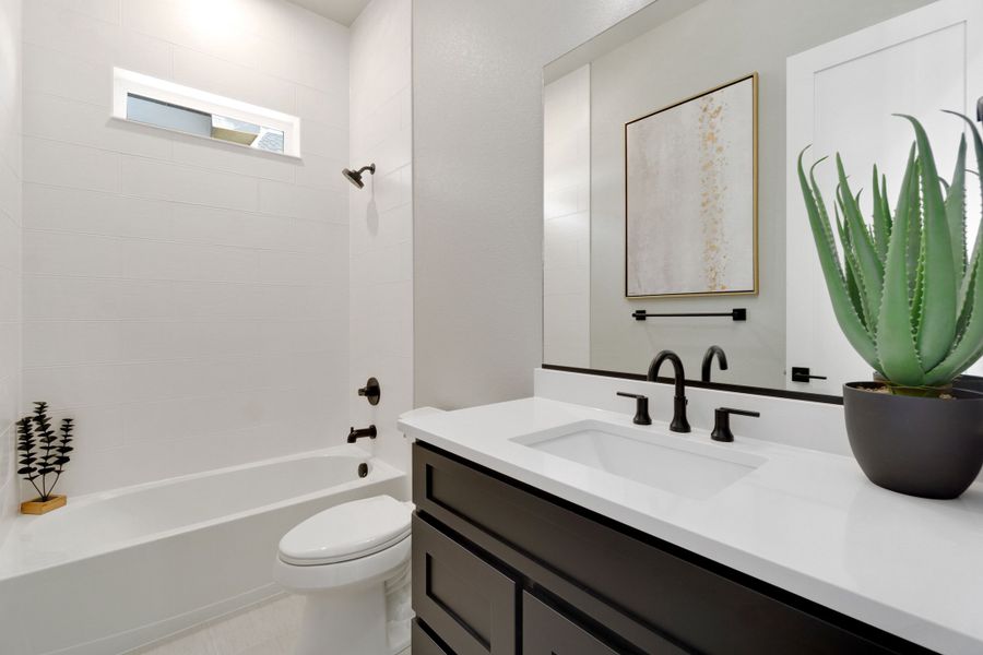 The Aurora Highlands,80019