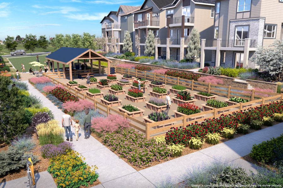 Uplands New Homes in Westminster, CO.  - Slide 21