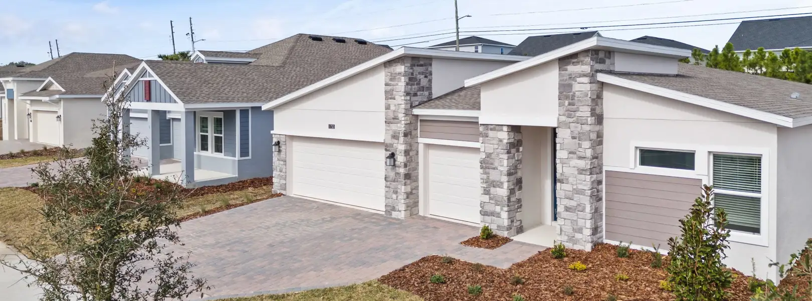 Bronson Ridge Executive homes streetscape