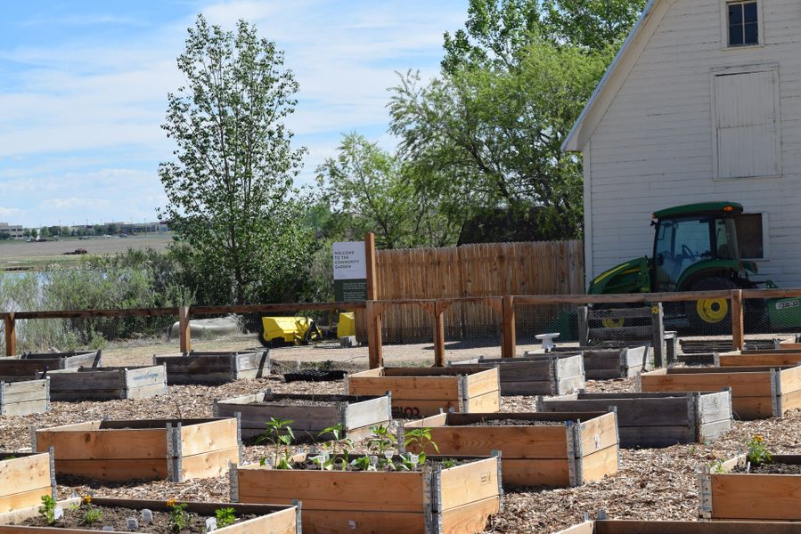 Image 21 of the The Lakes at Centerra community in Loveland, CO.