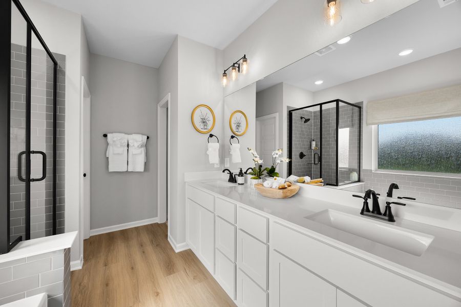 Palmilla Springs - Elderberry Model Home