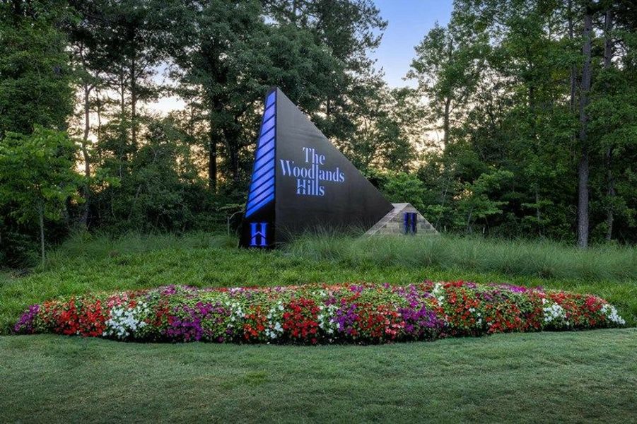 Image 11 of the The Woodlands Hills 55' - Skyline Ridge community in Willis, TX. Image 11 of the The Woodlands Hills 55' - Skyline Ridge community in Willis, TX.