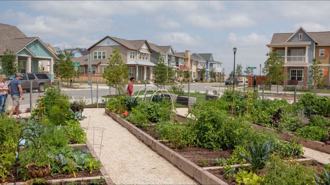 Community Garden