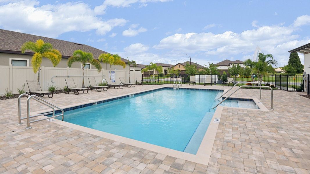 Resort-style swimming pool with sundeck, lounge chairs, and palm trees at Grasslands West in Lakeland, FL.