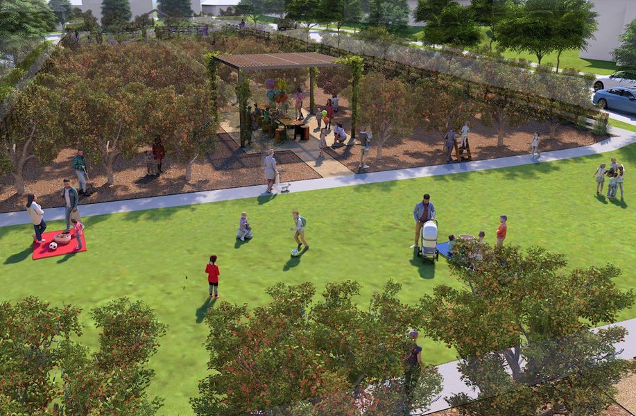 The Grove Rendering