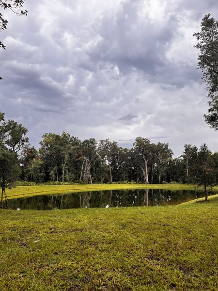 A serene landscape with a reflective pond and lush greenery in RiverTown - Springs by Mattamy Homes (St. Johns, FL). A serene landscape with a reflective pond and lush greenery in RiverTown - Springs by Mattamy Homes (St. Johns, FL).
