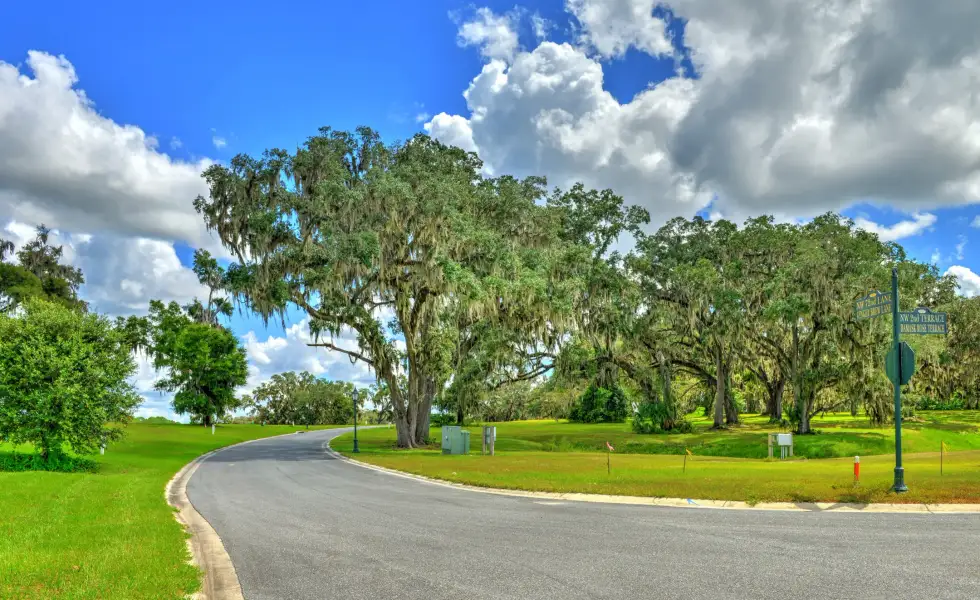 Natural surroundings and green spaces near Home & Homesite Packages in Ocala, FL (Image 21).