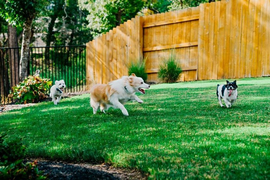 Image 9 of the The Hills at Deerbrooke community in Leander, TX.