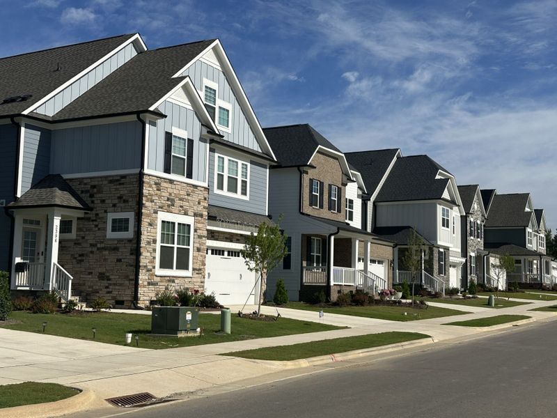 Streetscape Streetscape