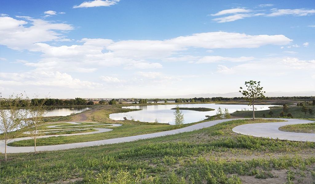 Community amenity available to residents of The Duos at Barefoot Village in Firestone (Image 1). Community amenity available to residents of The Duos at Barefoot Village in Firestone (Image 1).