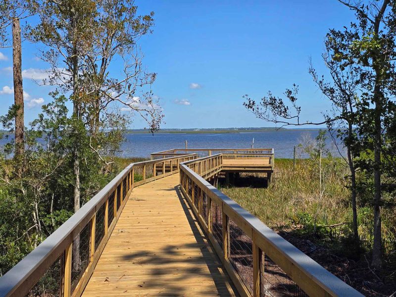 Natural surroundings and green spaces near Sandy Bluff in Yulee, FL (Image 50).