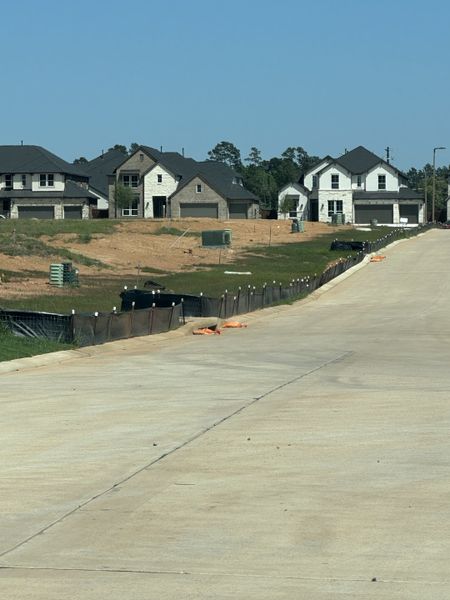 Newly constructed homes with modern designs in Brook Bend at Clopton Farms by Tri Pointe Homes, Conroe, TX.