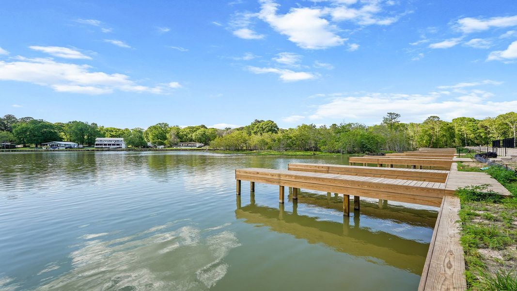 Natural surroundings and green spaces near Lake Conroe Cove in Willis, TX (Image 30).