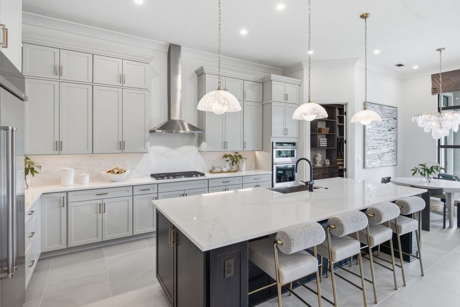 Pro-Series Kitchen with Designer Finishes Pro-Series Kitchen with Designer Finishes