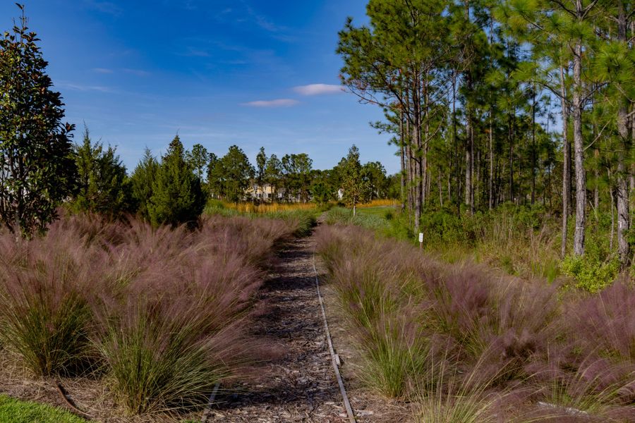 Trinity Gardens in DeLand, FL – New Home Community Surrounded by Nature Trinity Gardens in DeLand, FL – New Home Community Surrounded by Nature