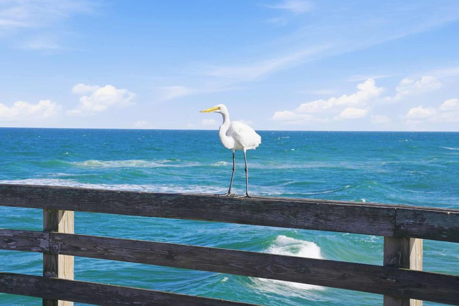 Image 11 of the Preserve at The Cays – The Harbor Series community in Daytona Beach, FL.