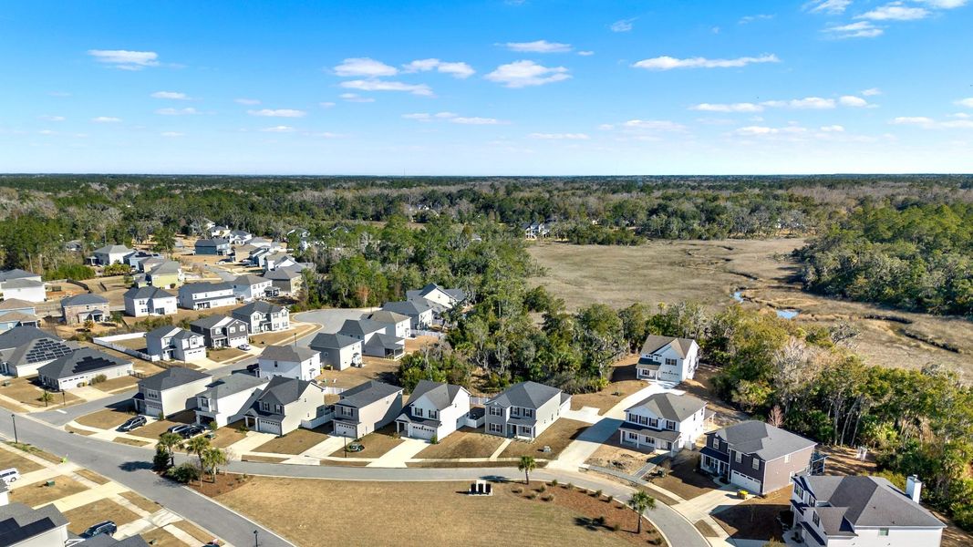 Dunham Marsh Community Aerial View in Richmond Hill, GA