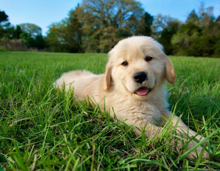 Image 6 of the RiverTown - Haven community in St. Johns, FL.