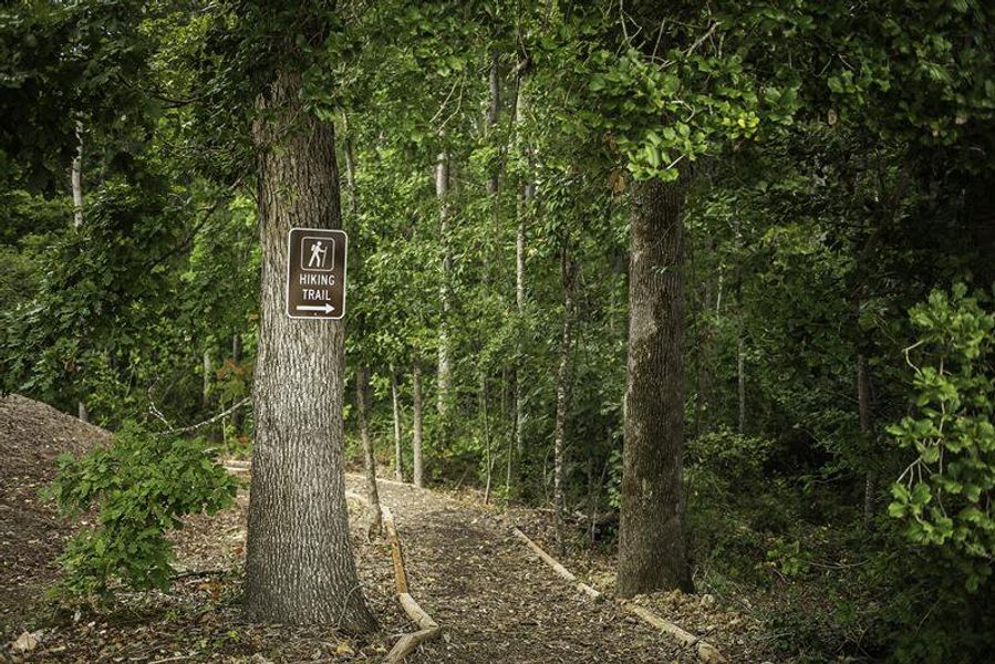 Explore 8 miles of trails designed for family walks, bike rides, and discovery.​