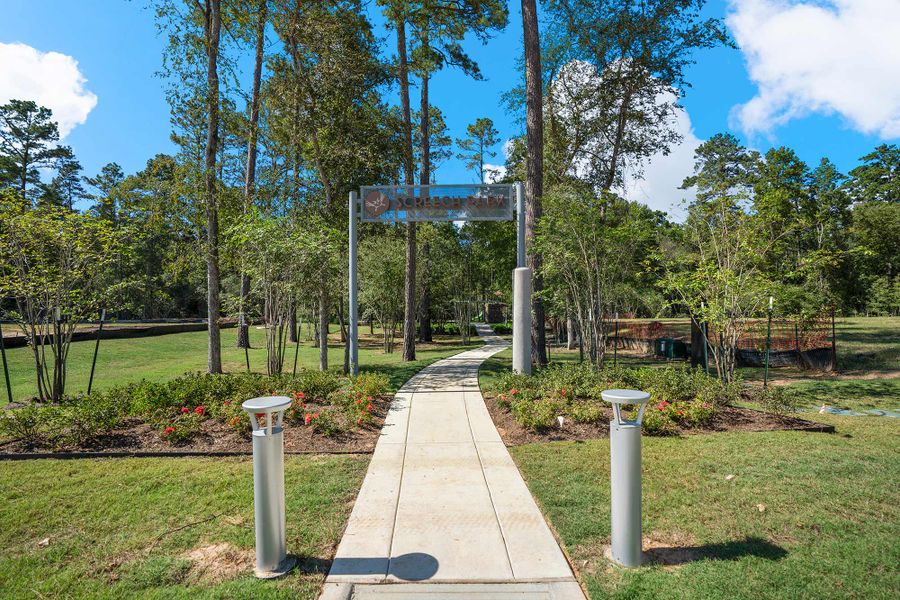 Community amenity available to residents of Audubon 55’ Homesites in Magnolia (Image 11).