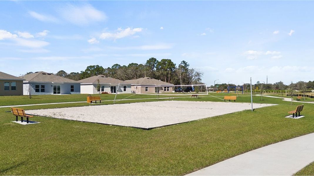Volleyball court