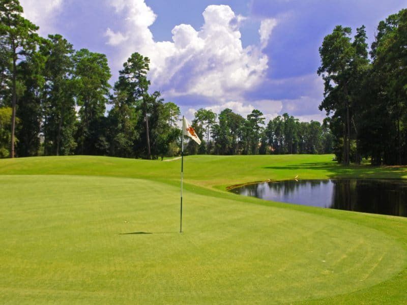 Natural surroundings and green spaces near The Highlands in Porter, TX (Image 44).