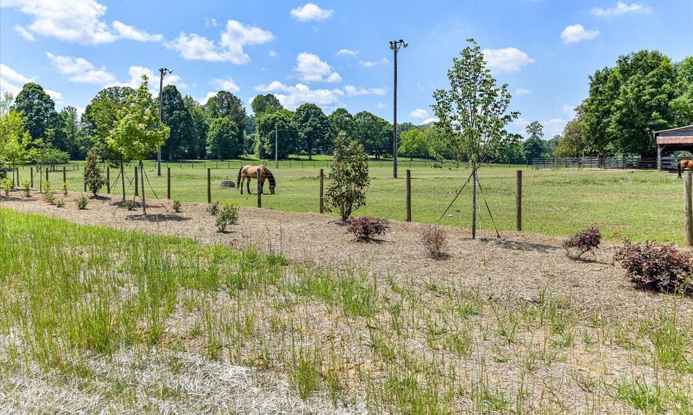 Natural surroundings and green spaces near Stephens Farm in Huntersville, NC (Image 12). Natural surroundings and green spaces near Stephens Farm in Huntersville, NC (Image 12).