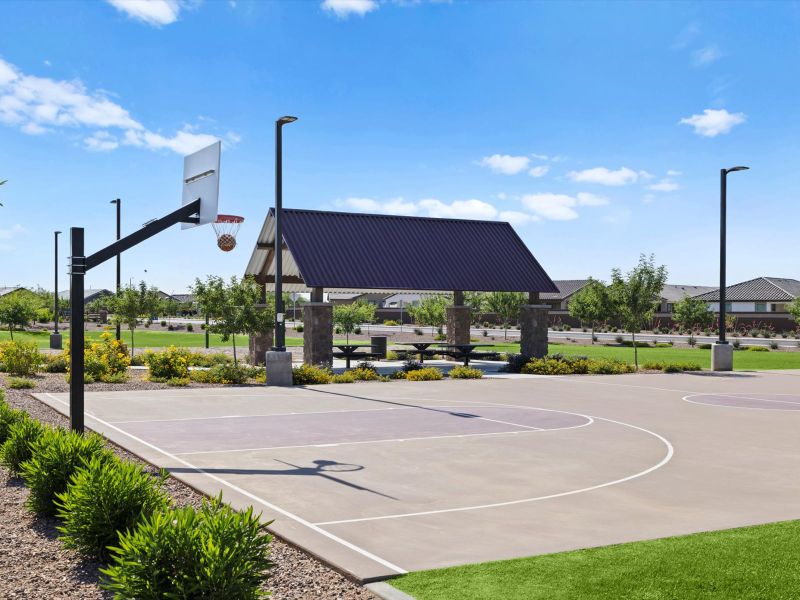 Basketball court at Bella Vista Farms