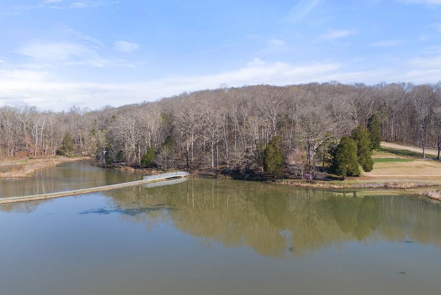 Clarksville Swan Lake 4of4 Clarksville Swan Lake 4of4