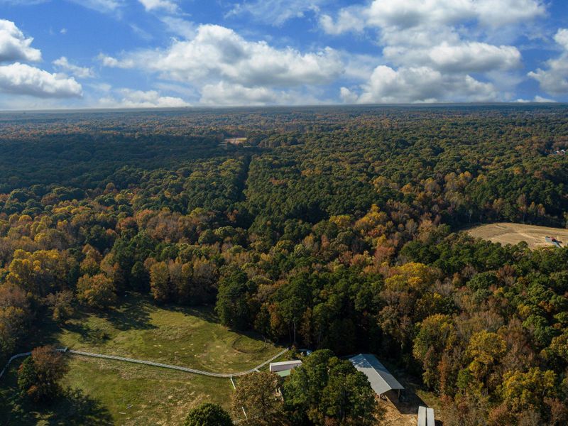 Natural surroundings and green spaces near Foxridge Meadow in Indian Trail, NC (Image 11).