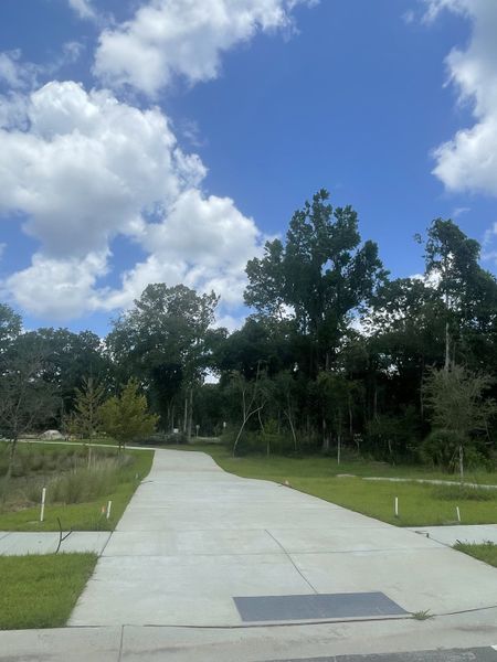 A serene wooded pathway in the Indigo Grove Single Family Homes by Stanley Martin Homes (Johns Island, SC).