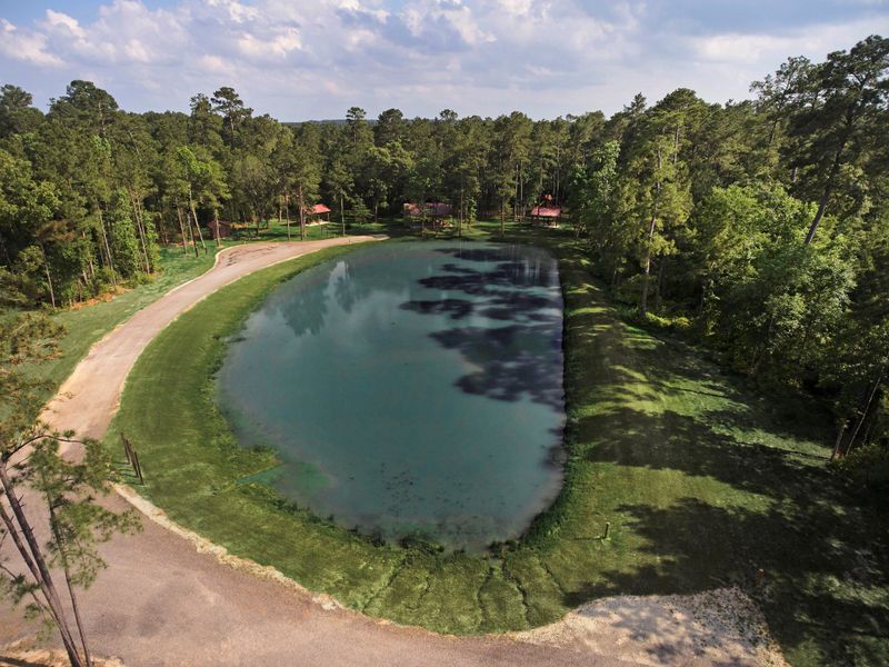 Natural surroundings and green spaces near Texas Grand Ranch in Huntsville, TX (Image 5).