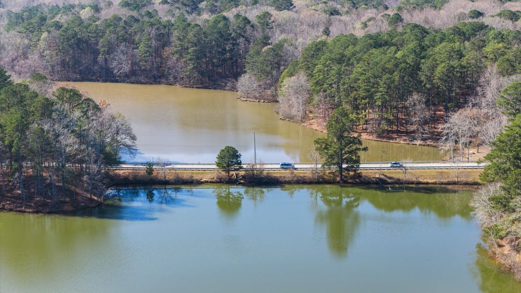 Natural surroundings and green spaces near Carlton in Douglasville, GA (Image 13).