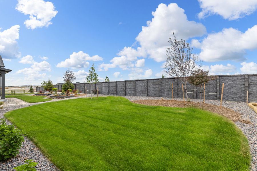 Sterling Ranch Homestead - American Legend Homes Model Home - Backyard Sterling Ranch Homestead - American Legend Homes Model Home - Backyard