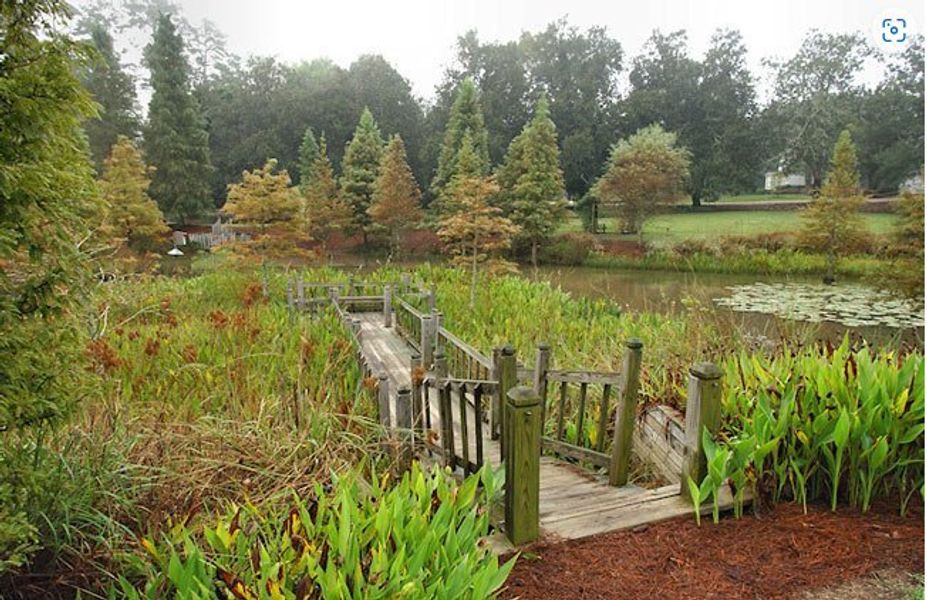 Image 20 of the Hitchcock Preserve 43' community in Aiken, SC.