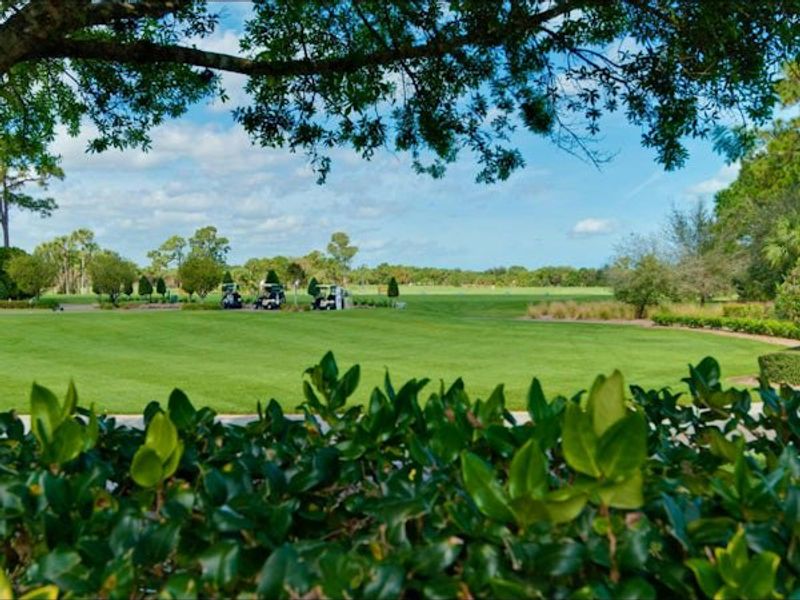 Natural surroundings and green spaces near Bent Pine Preserve in Vero Beach, FL (Image 85).