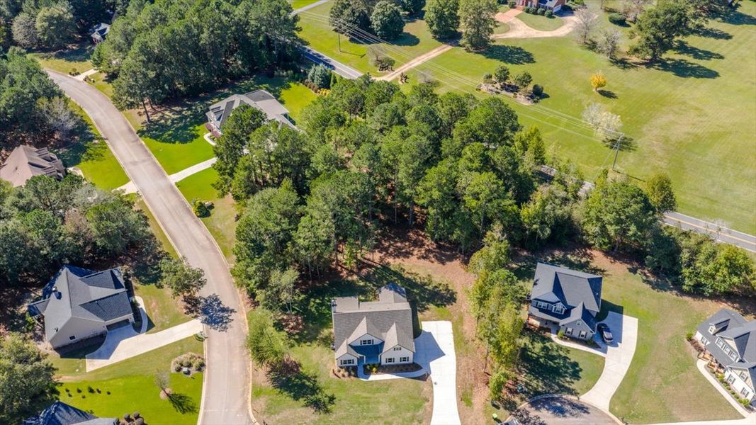 Aerial view of the Fair Oaks community in Thomaston, GA, showing layout and nearby surroundings (Image 11).