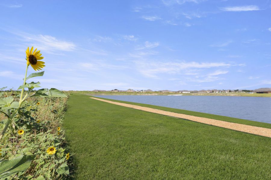 Natural surroundings and green spaces near Walden Pond in Forney, TX (Image 31).