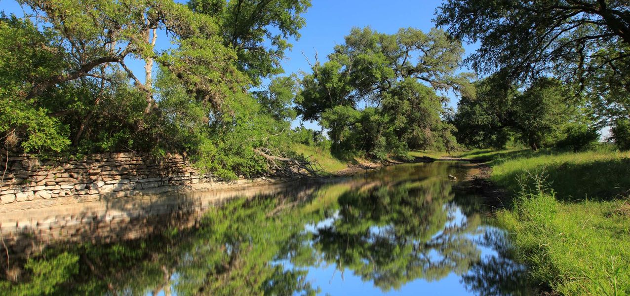 Natural surroundings and green spaces near Meyer Ranch in New Braunfels, TX (Image 34).