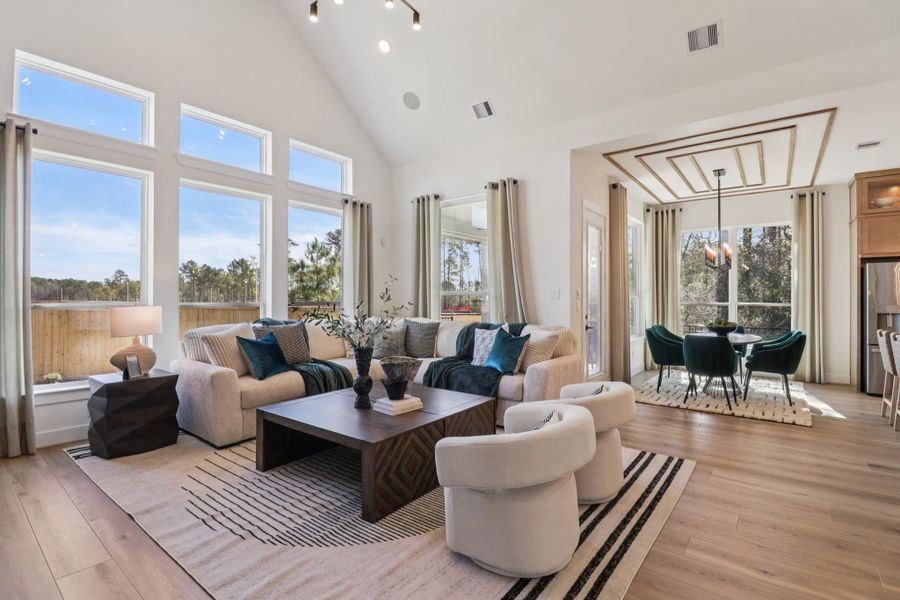 Furnished interior in a model home at Audubon in Magnolia (Image 3). Furnished interior in a model home at Audubon in Magnolia (Image 3).