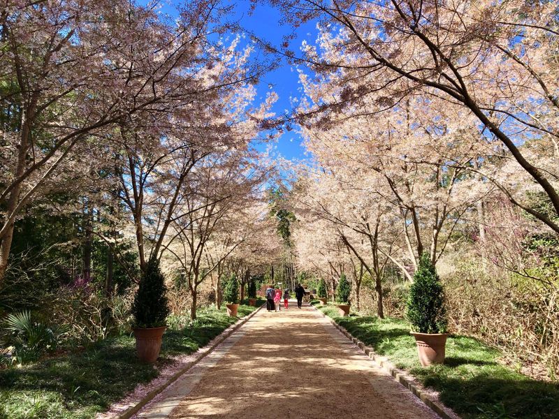 Natural surroundings and green spaces near The Grove at Latta Park in Durham, NC (Image 8).