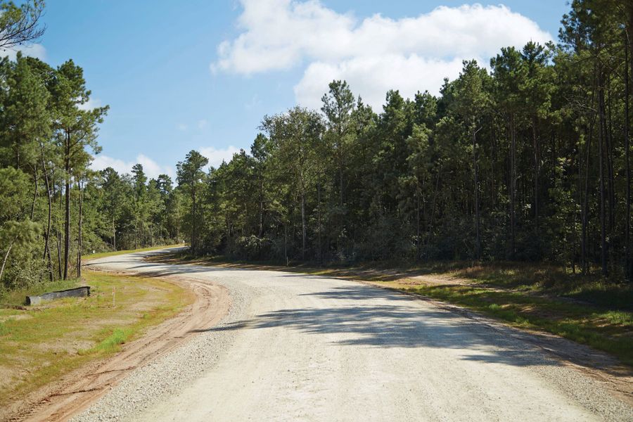 Natural surroundings and green spaces near Texas Grand Ranch in Huntsville, TX (Image 6).