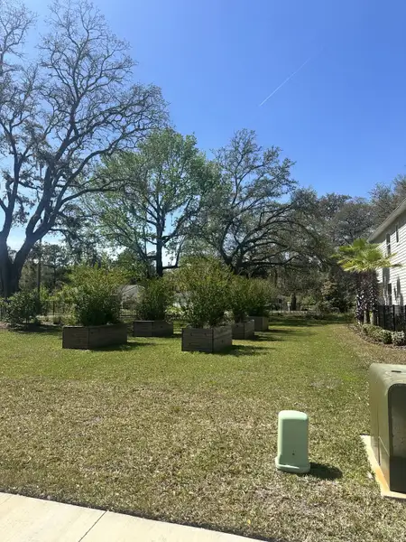 A charming yard with raised garden beds and mature trees in Seasons at Marietta Cove by Richmond American Homes (Jacksonville, FL).