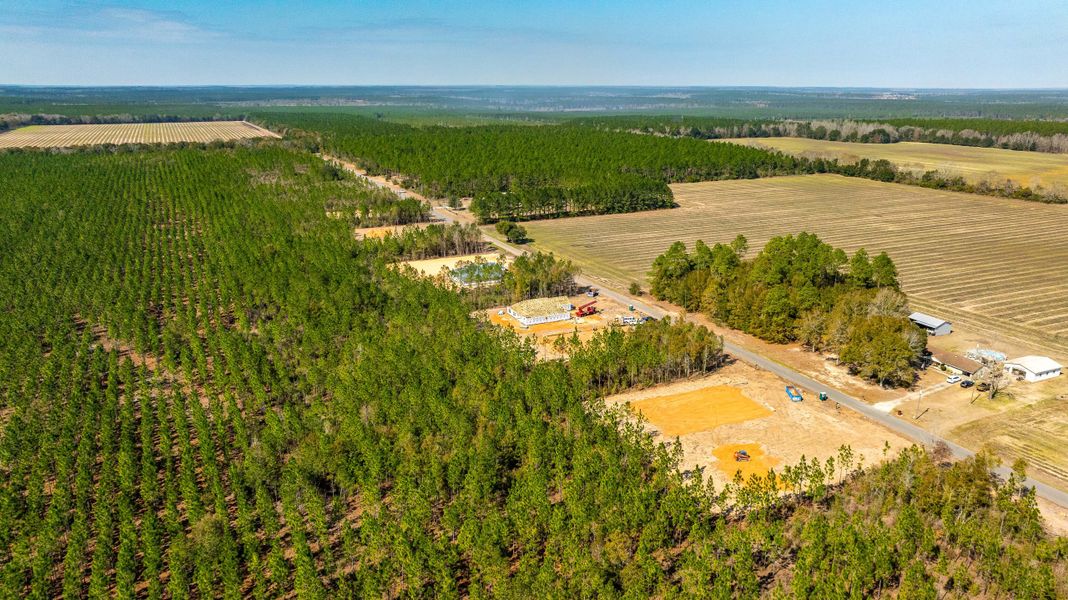 Site preparation and early development at Walther Reserve in Milton, FL (Image 6). Site preparation and early development at Walther Reserve in Milton, FL (Image 6).