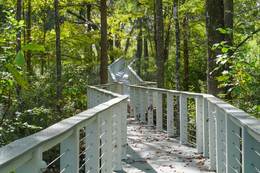 Image 9 of the Edgewater Landing community in Green Cove Springs, FL.
