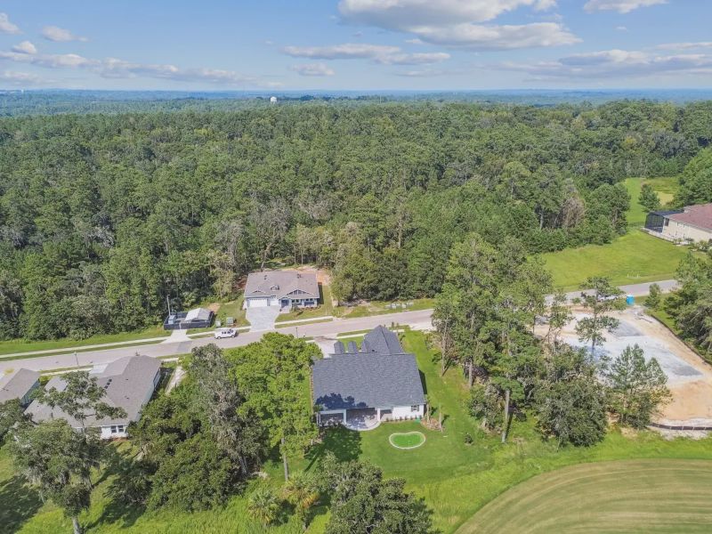 Southern Hills Plantation,34601