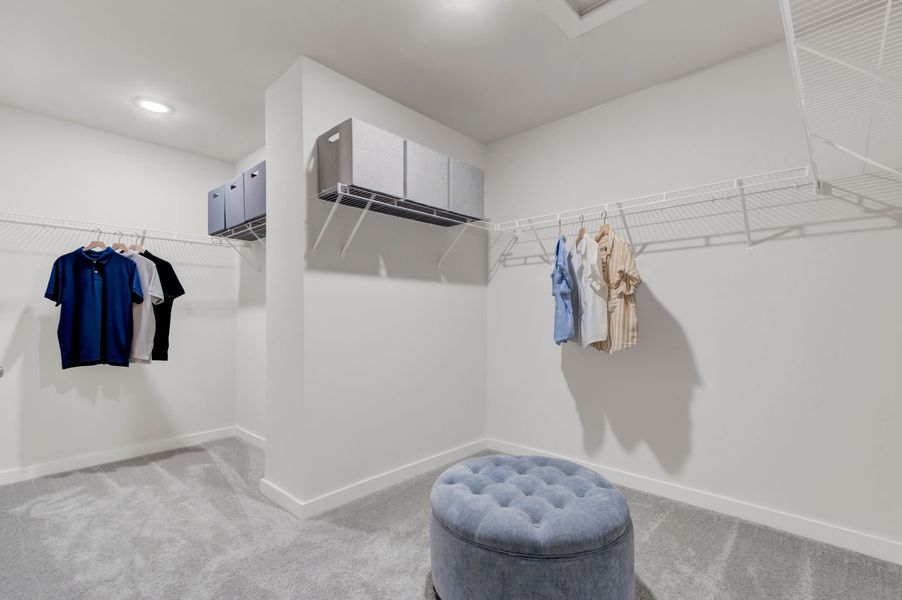 Plenty of Space and Storage in The Hollins Primary Closet Plenty of Space and Storage in The Hollins Primary Closet